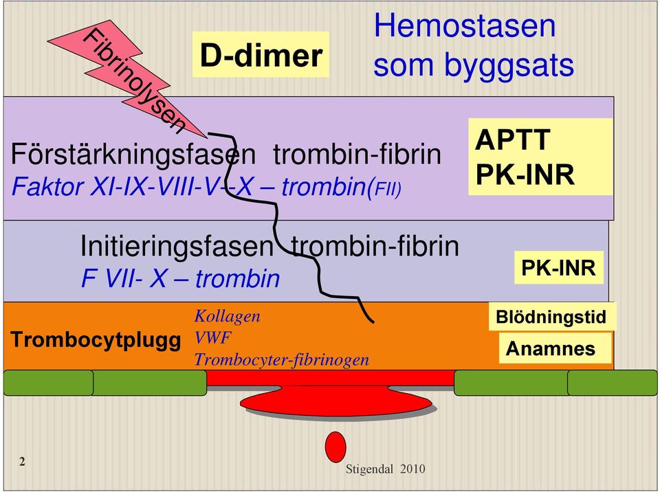 Initieringsfasen trombin-fibrin F VII- X trombin Trombocytplugg