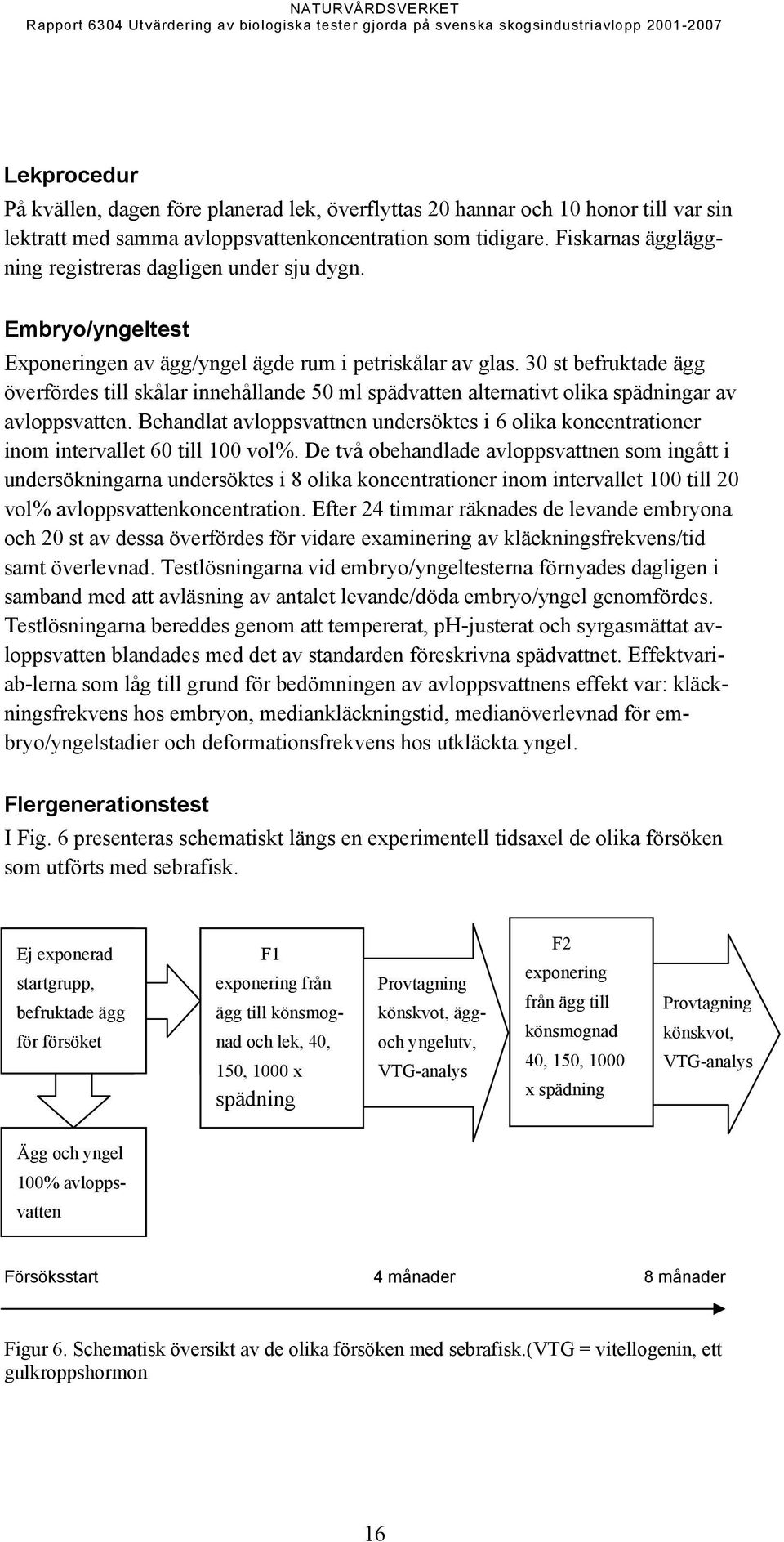 30 st befruktade ägg överfördes till skålar innehållande 50 ml spädvatten alternativt olika spädningar av avloppsvatten.