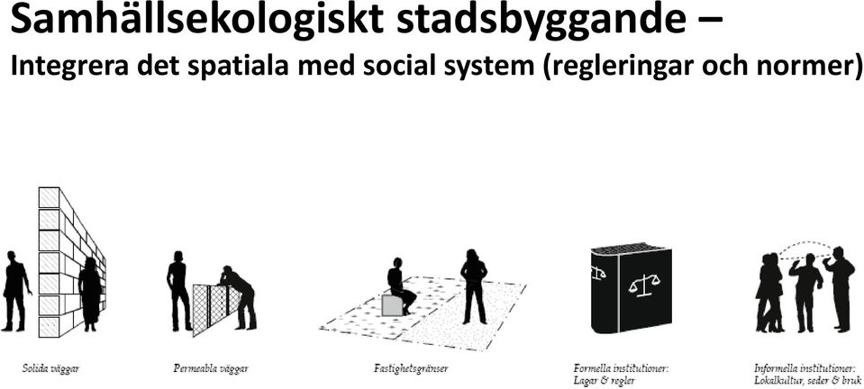 social system