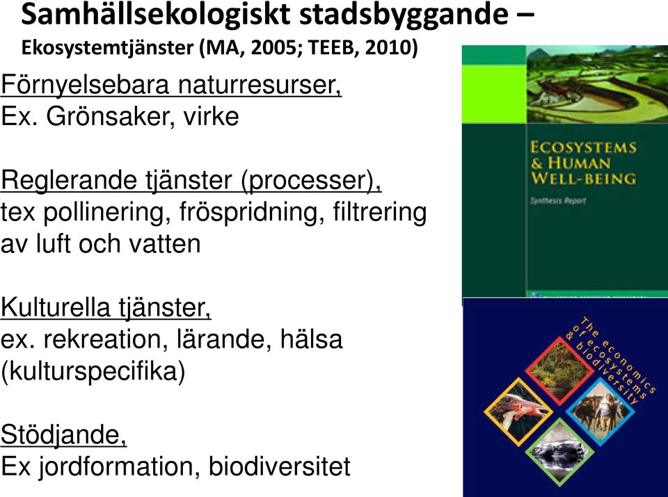 fröspridning, filtrering av luft och vatten Kulturella tjänster, ex.