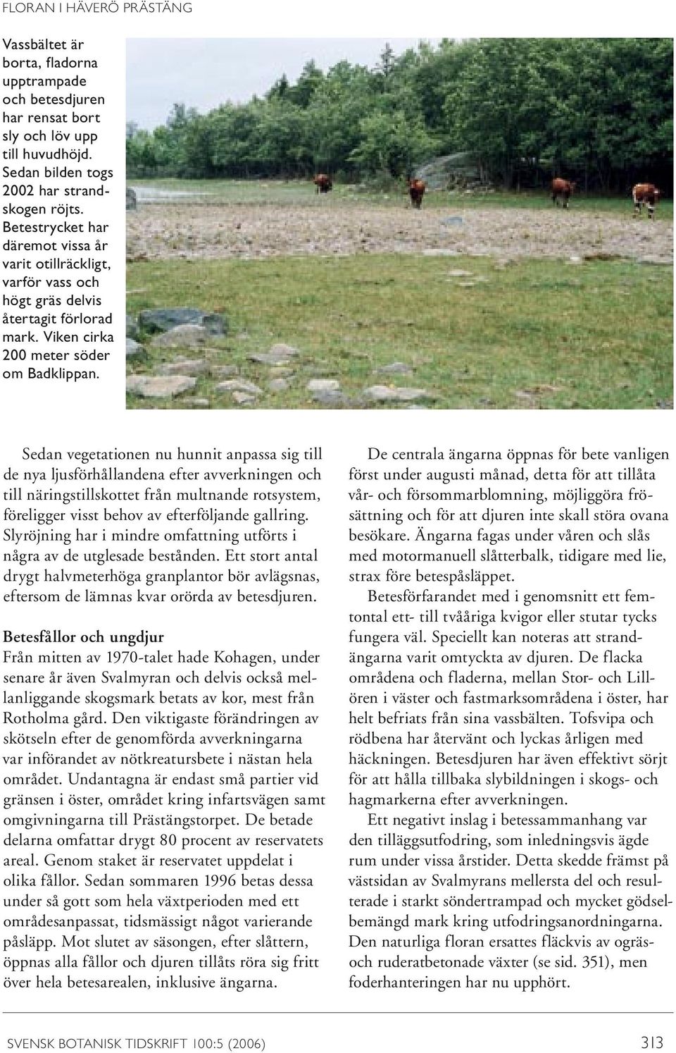 Sedan vegetationen nu hunnit anpassa sig till de nya ljusförhållandena efter avverkningen och till näringstillskottet från multnande rotsystem, föreligger visst behov av efterföljande gallring.