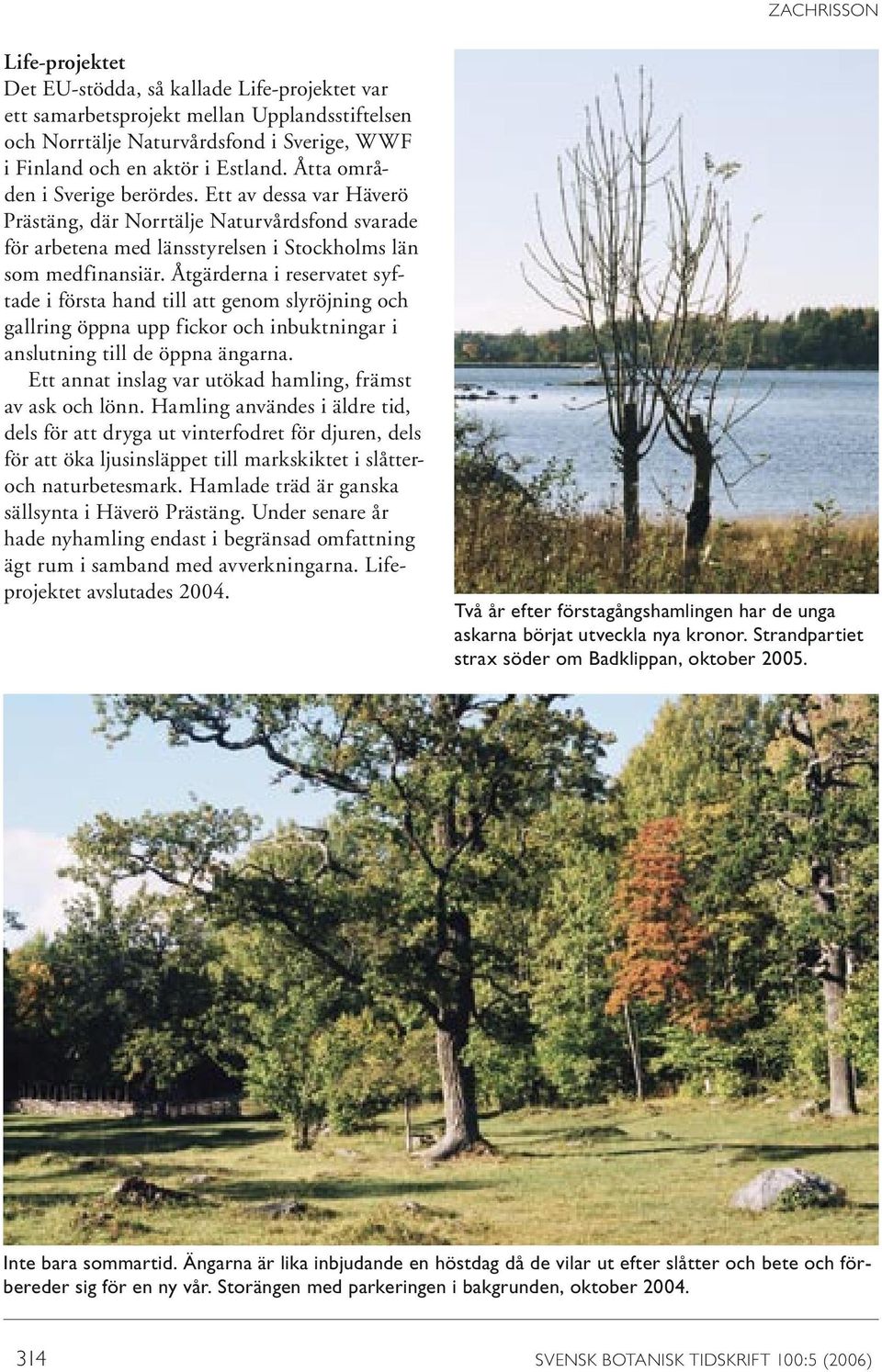 Åtgärderna i reservatet syftade i första hand till att genom slyröjning och gallring öppna upp fickor och inbuktningar i anslutning till de öppna ängarna.