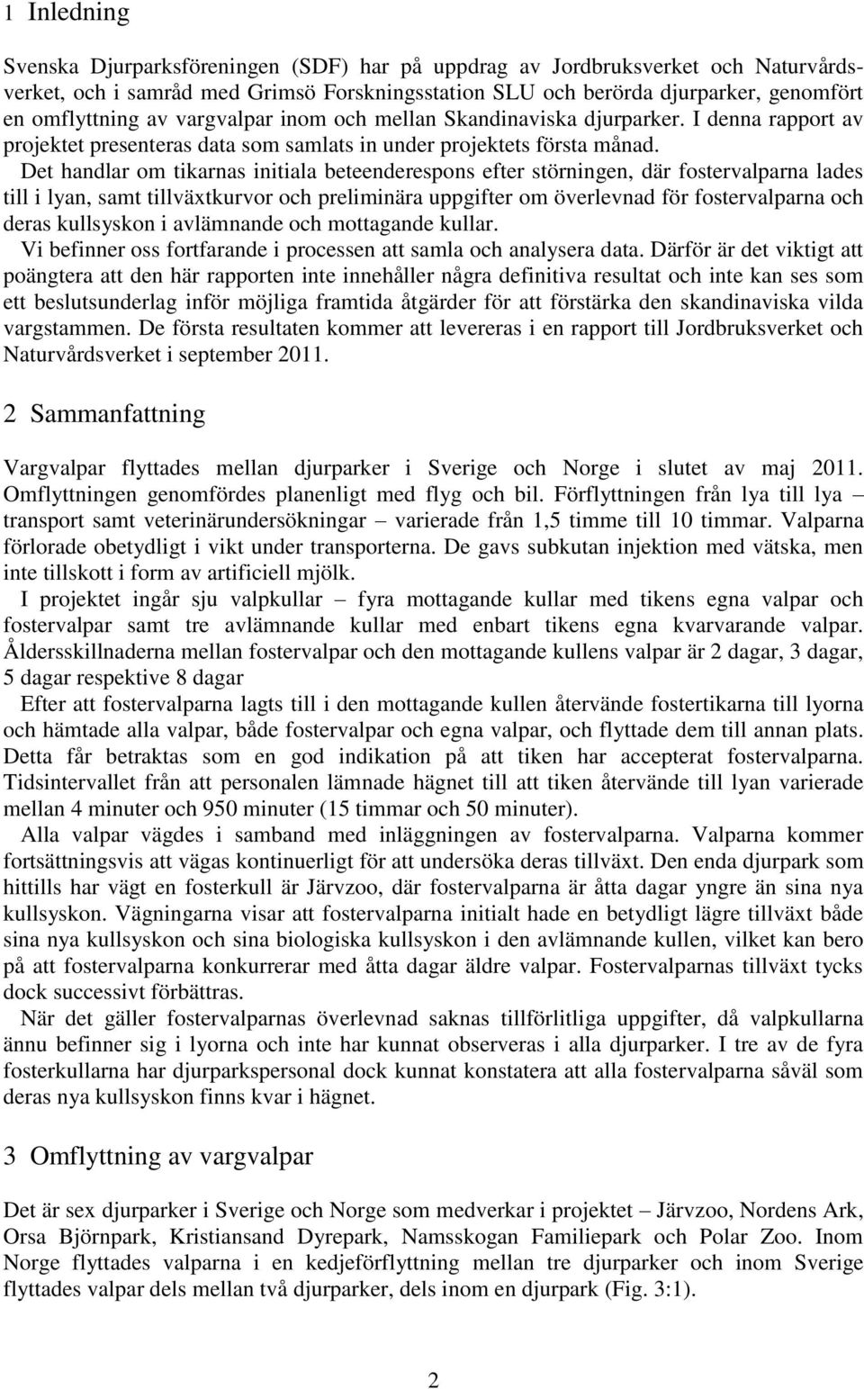 Det handlar om tikarnas initiala beteenderespons efter störningen, där fostervalparna lades till i lyan, samt tillväxtkurvor och preliminära uppgifter om överlevnad för fostervalparna och deras