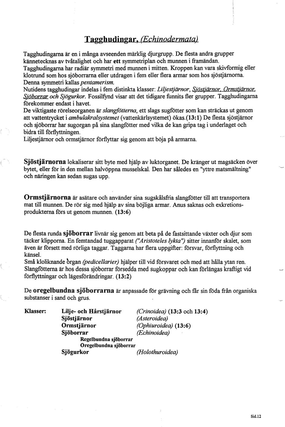Denna symmetri kallas pentamerism. Nutidens tagghudingar indelas i fem distinkta klasser: Liljestjärnor, Sjöstjärnor, Ormstjärnor, Sjöborrar och Sjögurkor.