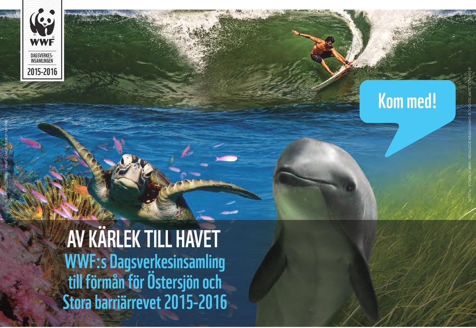 TERICA / FLICKR AV KÄRLEK TILL HAVET WWF:s