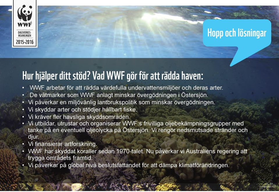 Vi kräver fler havsliga skyddsområden. Vi utbildar, utrustar och organiserar WWF:s frivilliga oljebekämpningsgrupper med tanke på en eventuell oljeolycka på Östersjön.