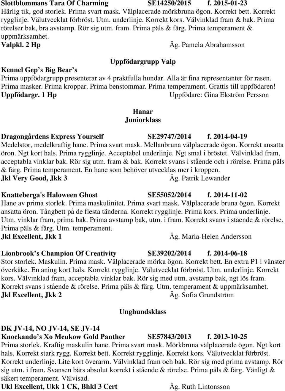 Pamela Abrahamsson Uppfödargrupp Valp Kennel Gep s Big Bear s Prima uppfödargrupp presenterar av 4 praktfulla hundar. Alla är fina representanter för rasen. Prima masker. Prima kroppar.