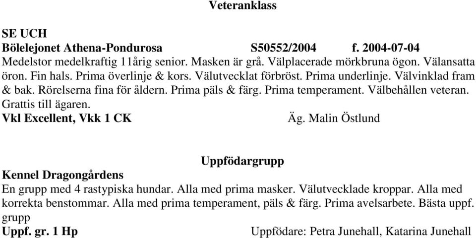 Välbehållen veteran. Grattis till ägaren. Vkl Excellent, Vkk 1 CK Äg. Malin Östlund Uppfödargrupp Kennel Dragongårdens En grupp med 4 rastypiska hundar. Alla med prima masker.