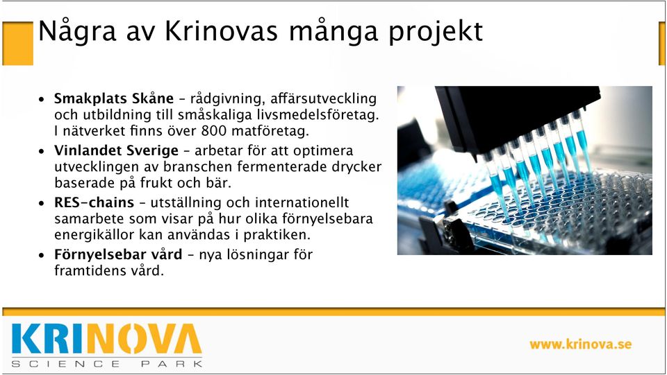 Vinlandet Sverige arbetar för att optimera utvecklingen av branschen fermenterade drycker baserade på frukt och bär.