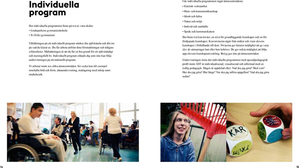 Individuellt program erbjuds dig som inte kan följa undervisningen på ett nationellt program. Vi arbetar inom sex olika ämnesområden.