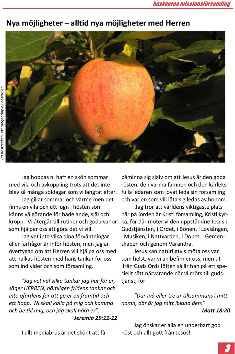 Jag gillar sommar och värme men det finns en vila och ett lugn i hösten som känns välgörande för både ande, själ och kropp. Vi återgår till rutiner och goda vanor som hjälper oss att göra det vi vill.