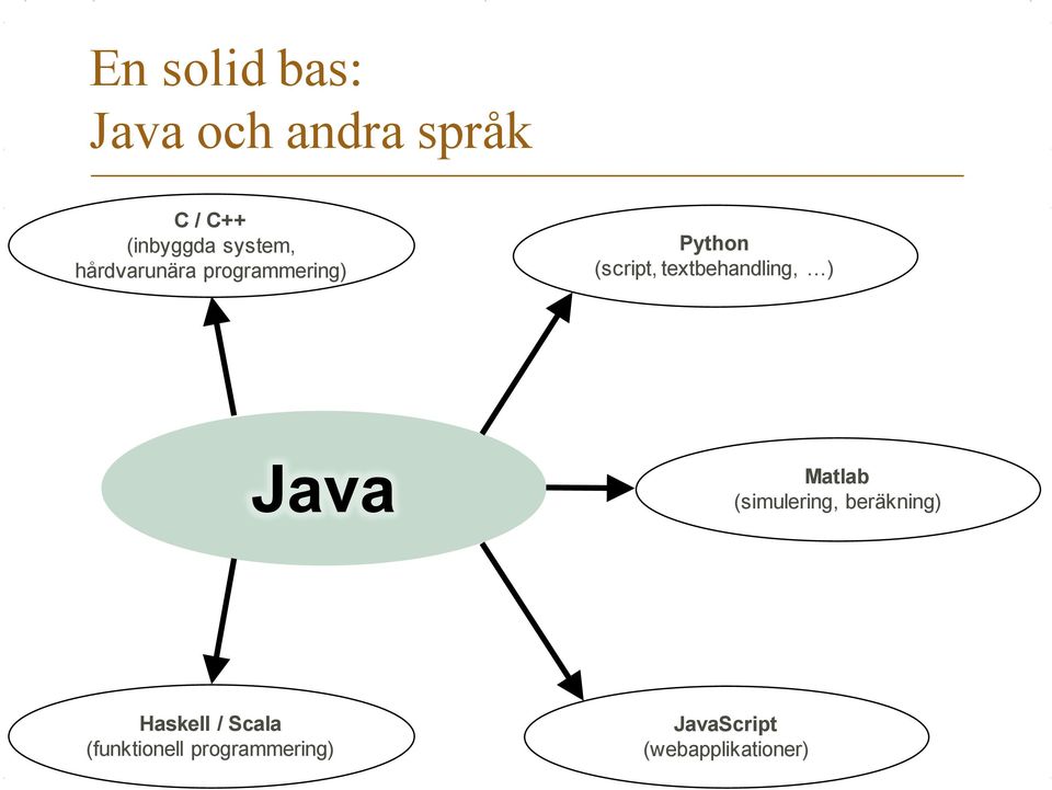 textbehandling, ) Java Matlab (simulering, beräkning)
