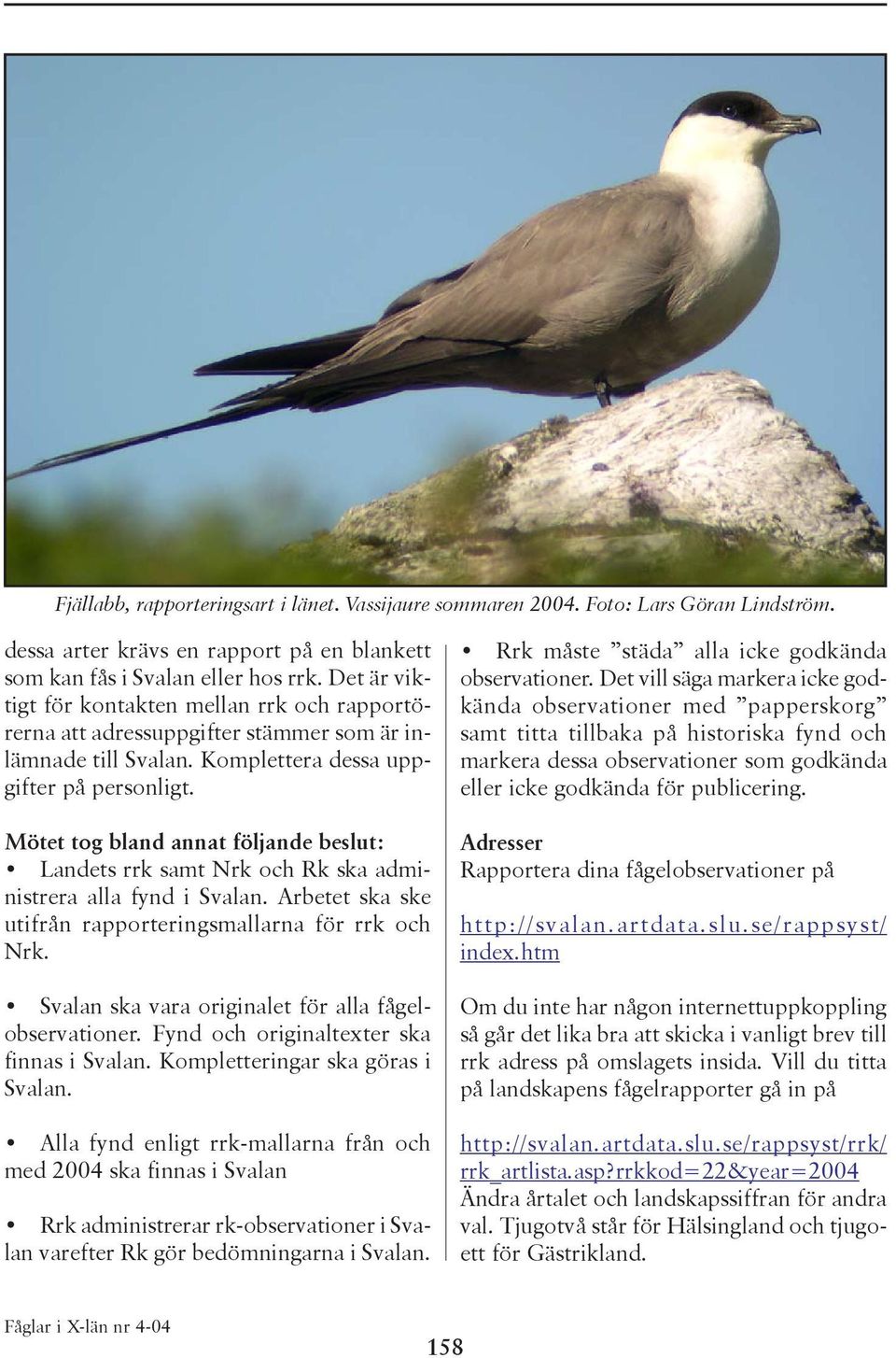 Mötet tog bland annat följande beslut: Landets rrk samt Nrk och Rk ska administrera alla fynd i Svalan. Arbetet ska ske utifrån rapporteringsmallarna för rrk och Nrk.