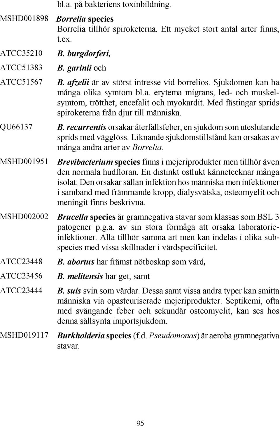Med fästingar sprids spiroketerna från djur till människa. B. recurrentis orsakar återfallsfeber, en sjukdom som uteslutande sprids med vägglöss.