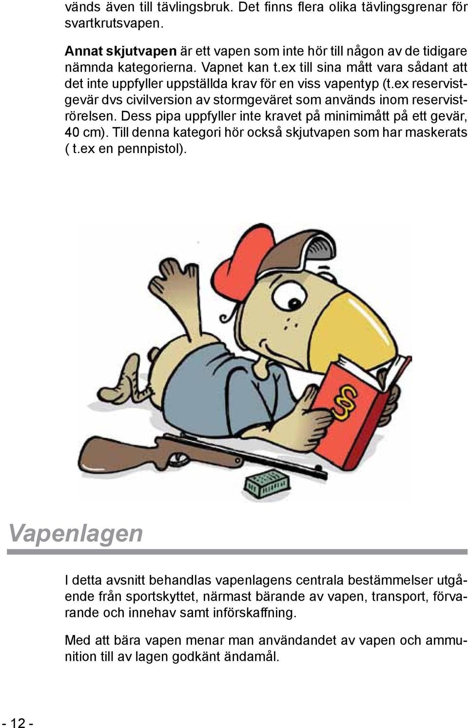 Dess pipa uppfyller inte kravet på minimimått på ett gevär, 40 cm). Till denna kategori hör också skjutvapen som har maskerats ( t.ex en pennpistol).