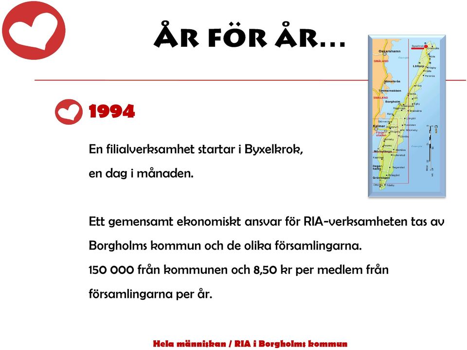 Ett gemensamt ekonomiskt ansvar för RIA-verksamheten tas av