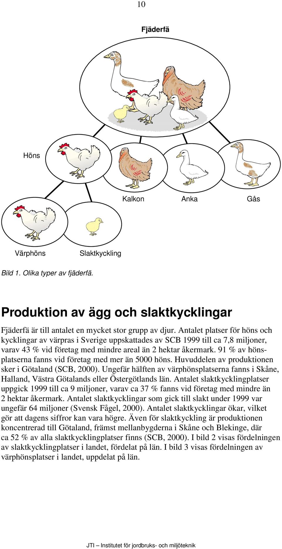 91 % av hönsplatserna fanns vid företag med mer än 5000 höns. Huvuddelen av produktionen sker i Götaland (SCB, 2000).