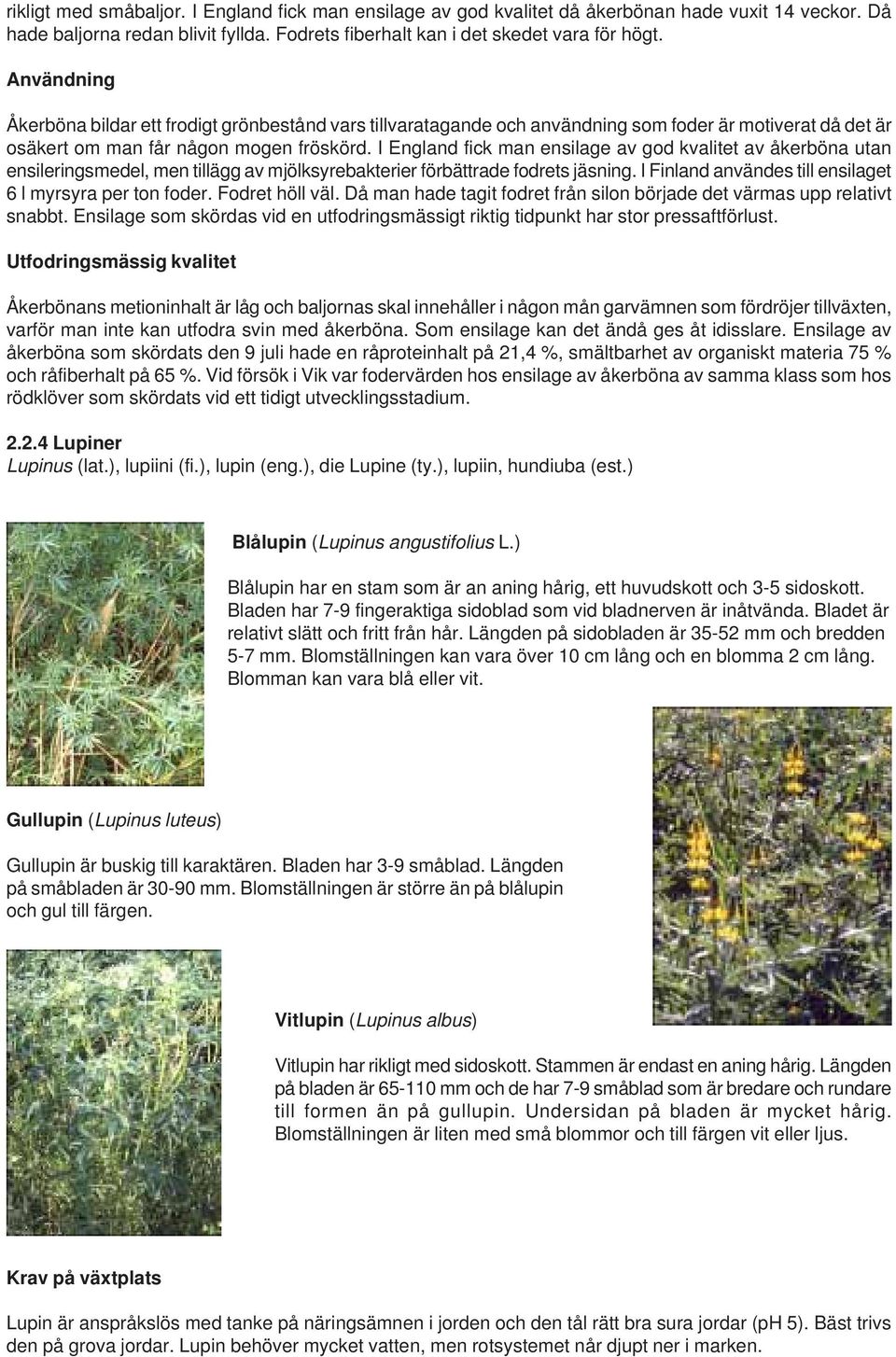 I England fick man ensilage av god kvalitet av åkerböna utan ensileringsmedel, men tillägg av mjölksyrebakterier förbättrade fodrets jäsning.