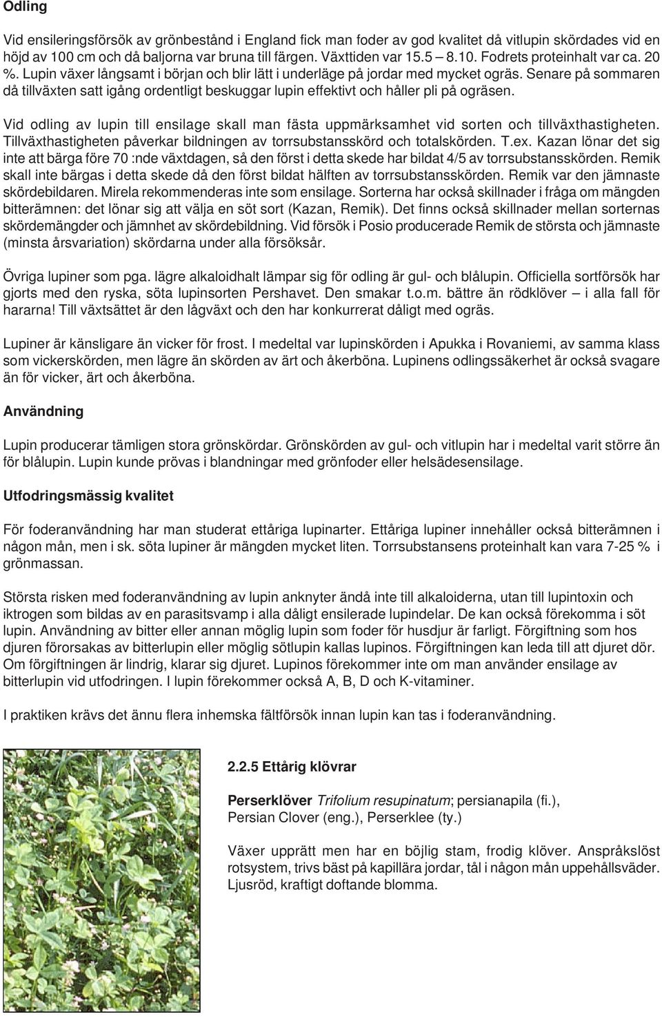 Vid odling av lupin till ensilage skall man fästa uppmärksamhet vid sorten och tillväxthastigheten. Tillväxthastigheten påverkar bildningen av torrsubstansskörd och totalskörden. T.ex.