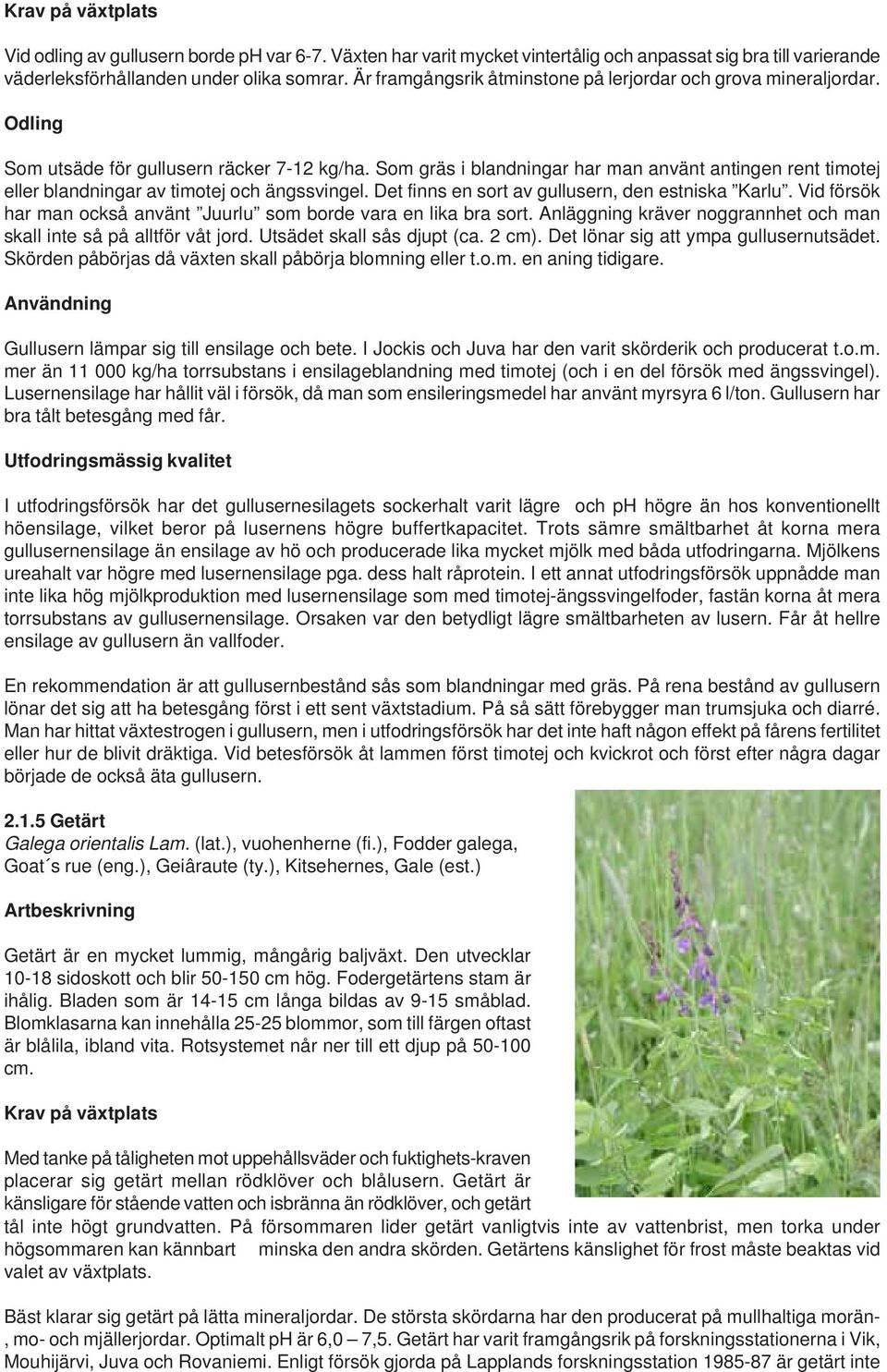 Som gräs i blandningar har man använt antingen rent timotej eller blandningar av timotej och ängssvingel. Det finns en sort av gullusern, den estniska Karlu.
