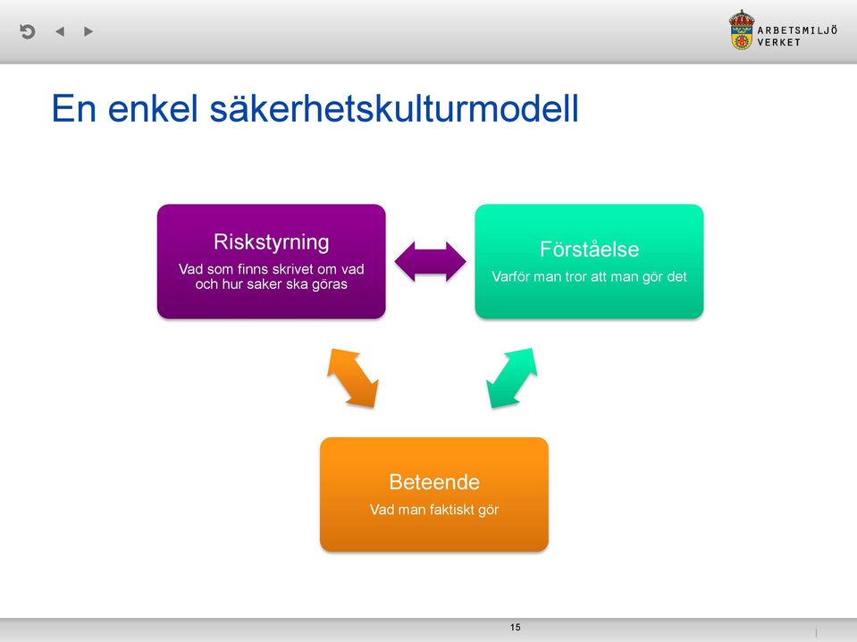 Riskmanagement Förståelse Varför man tror att man