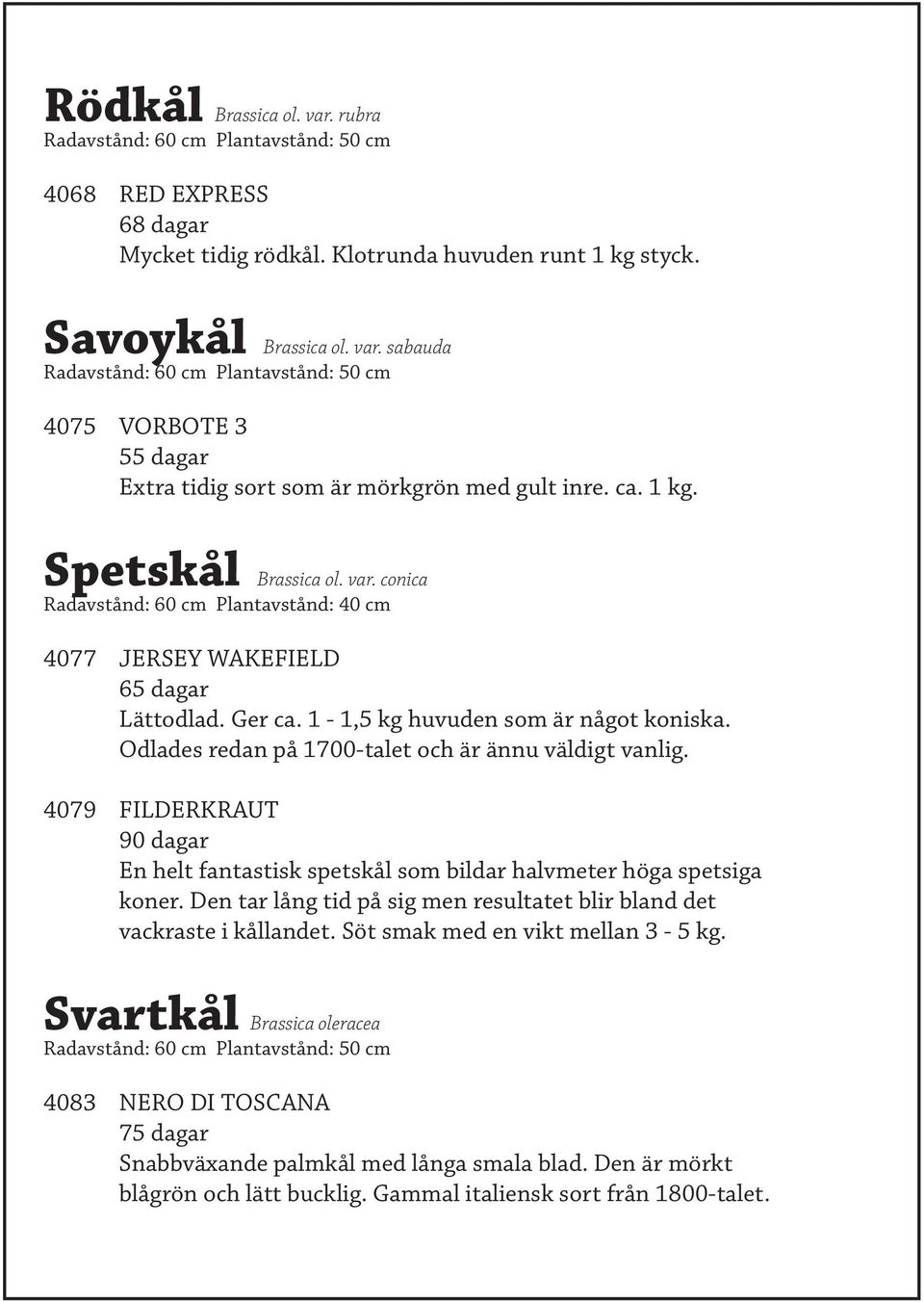 Odlades redan på 1700-talet och är ännu väldigt vanlig. 4079 FILDERKRAUT 90 dagar En helt fantastisk spetskål som bildar halvmeter höga spetsiga koner.