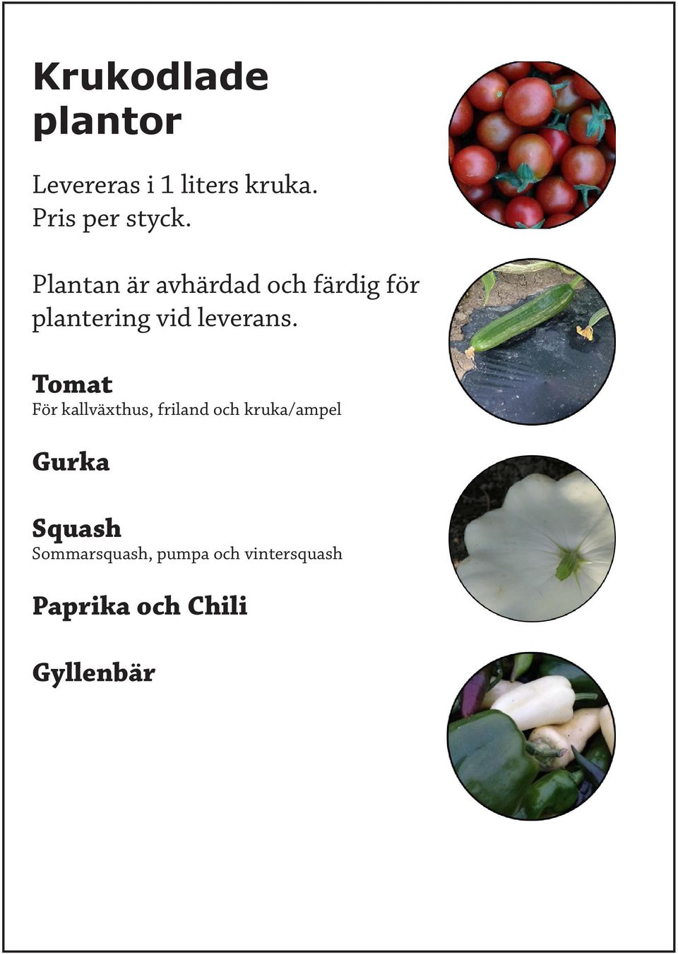 Tomat För kallväxthus, friland och kruka/ampel Gurka Squash