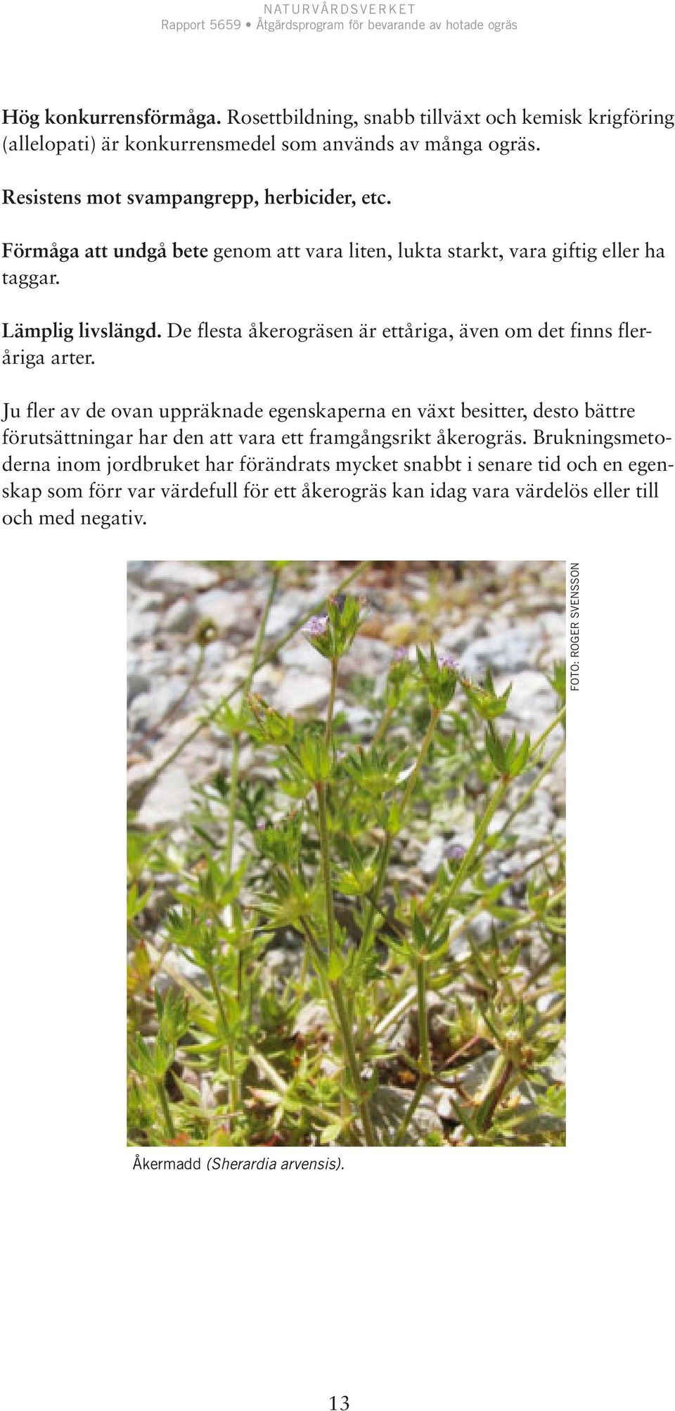 De flesta åkerogräsen är ettåriga, även om det finns fleråriga arter.