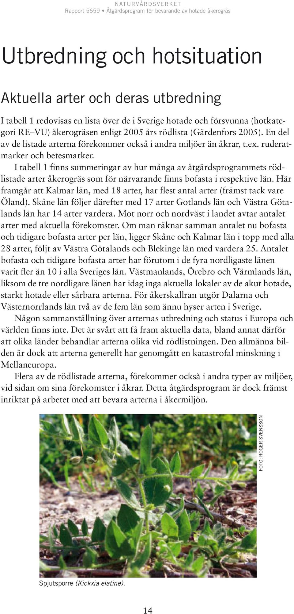I tabell 1 finns summeringar av hur många av åtgärdsprogrammets rödlistade arter åkerogräs som för närvarande finns bofasta i respektive län.