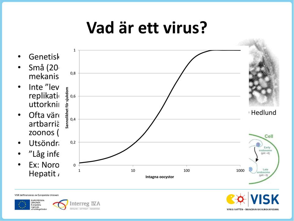 replikation) 0,6 ingen aktivitet (resistenta mot uttorkning och andra processer) Ofta värd/vävnadsspecifika korsar inte 0,4