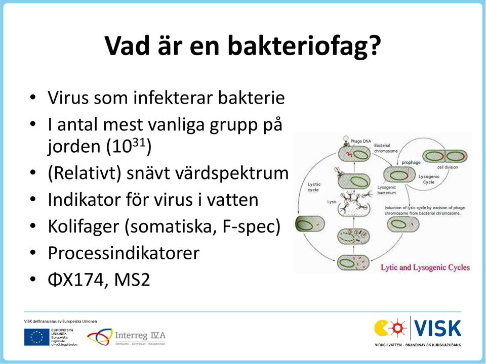 grupp på jorden (10 31 ) (Relativt) snävt värdspektrum