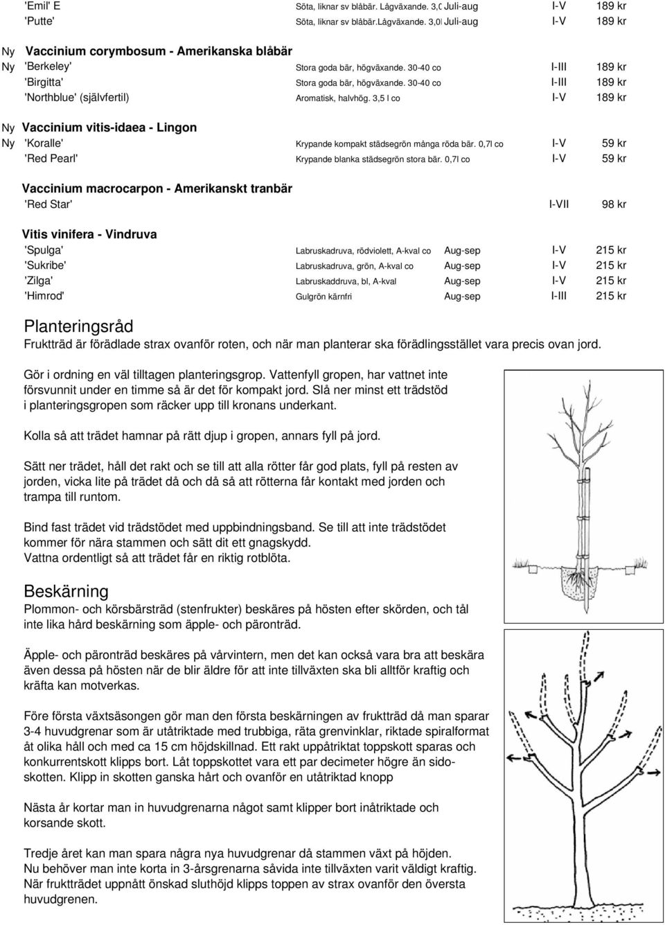 30-40 co I-III 189 kr 'Northblue' (självfertil) Aromatisk, halvhög. 3,5 l co I-V 189 kr Ny Vaccinium vitis-idaea - Lingon Ny 'Koralle' Krypande kompakt städsegrön många röda bär.