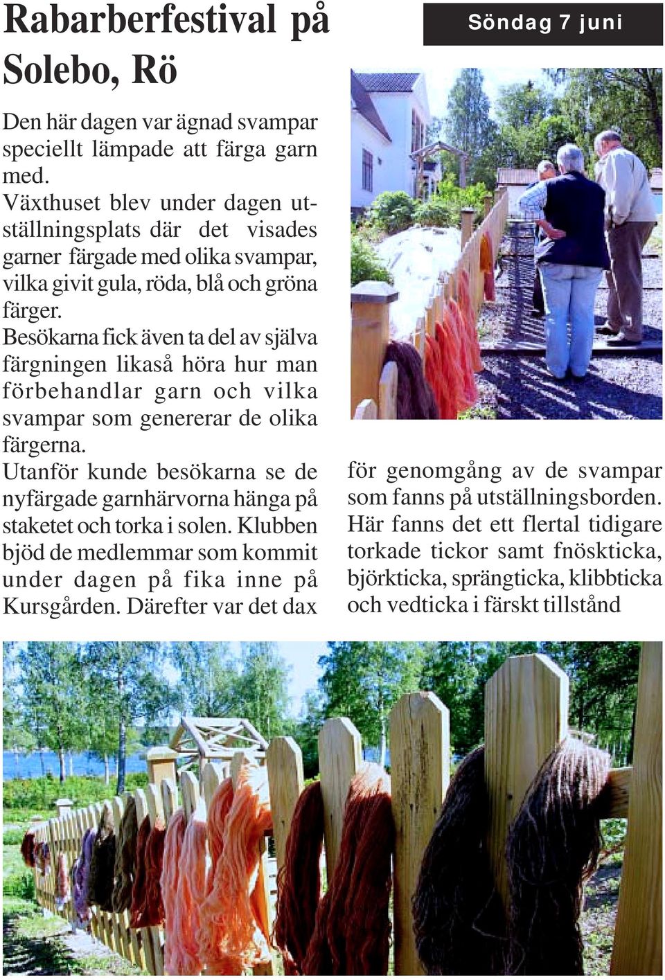 Besökarna fick även ta del av själva färgningen likaså höra hur man förbehandlar garn och vilka svampar som genererar de olika färgerna.