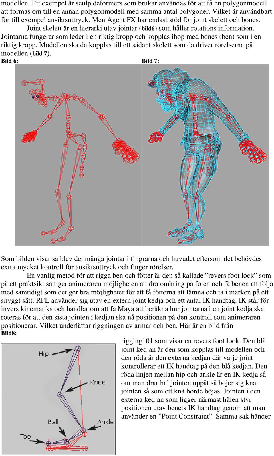 Jointarna fungerar som leder i en riktig kropp och kopplas ihop med bones (ben) som i en riktig kropp. Modellen ska då kopplas till ett sådant skelett som då driver rörelserna på modellen (bild 7).