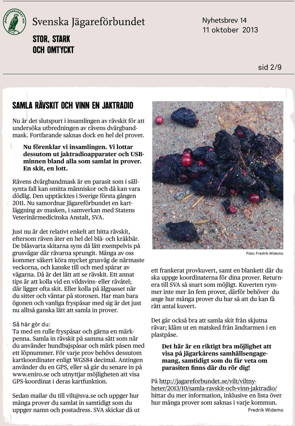 Rävens dvärgbandmask är en parasit som i sällsynta fall kan smitta människor och då kan vara dödlig. Den upptäcktes i Sverige första gången 2011.
