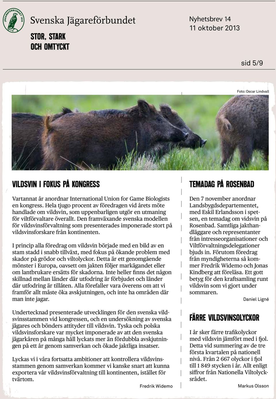Den framväxande svenska modellen för vildsvinsförvaltning som presenterades imponerade stort på vildsvinsforskare från kontinenten.