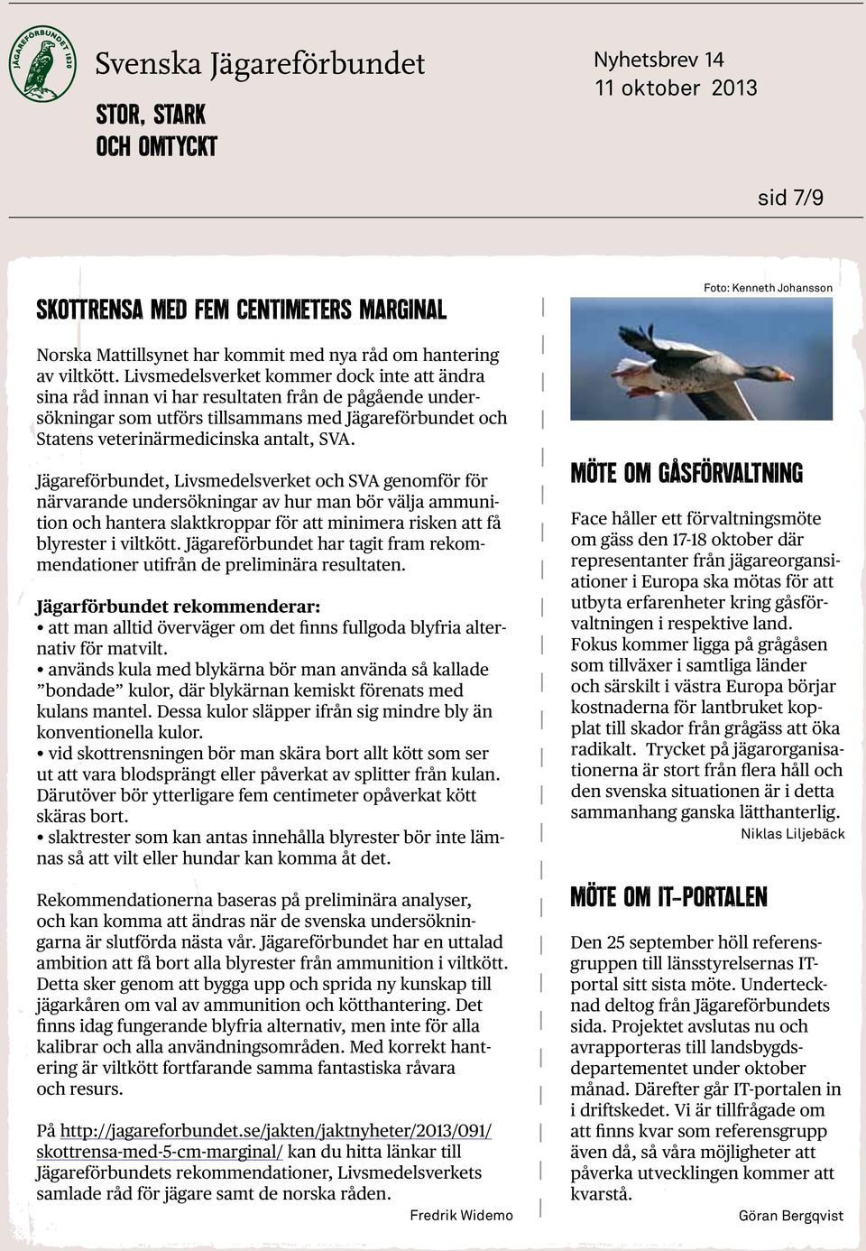 Jägareförbundet, Livsmedelsverket och SVA genomför för närvarande undersökningar av hur man bör välja ammunition och hantera slaktkroppar för att minimera risken att få blyrester i viltkött.