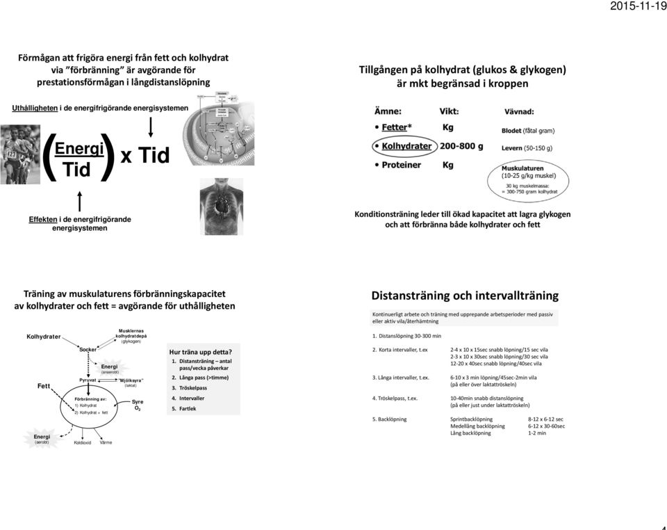förbränna både kolhydrater och fett Träning av muskulaturens förbränningskapacitet av kolhydrater och fett = avgörande för uthålligheten Kolhydrater Fett Energi (aerobt) Socker Pyruvat Förbränning