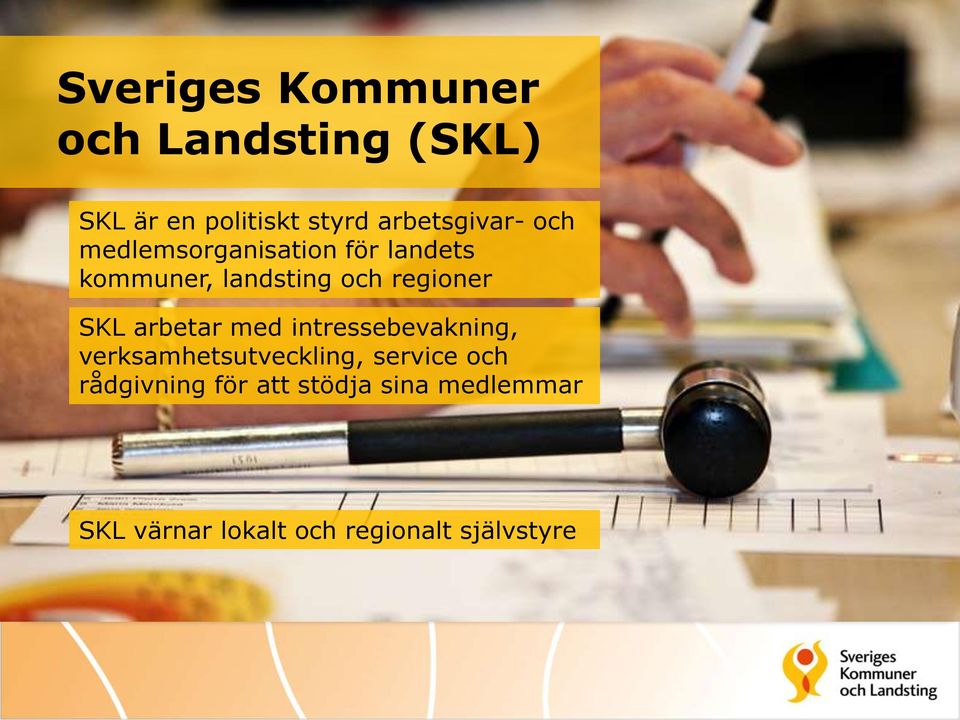 regioner SKL arbetar med intressebevakning, verksamhetsutveckling, service