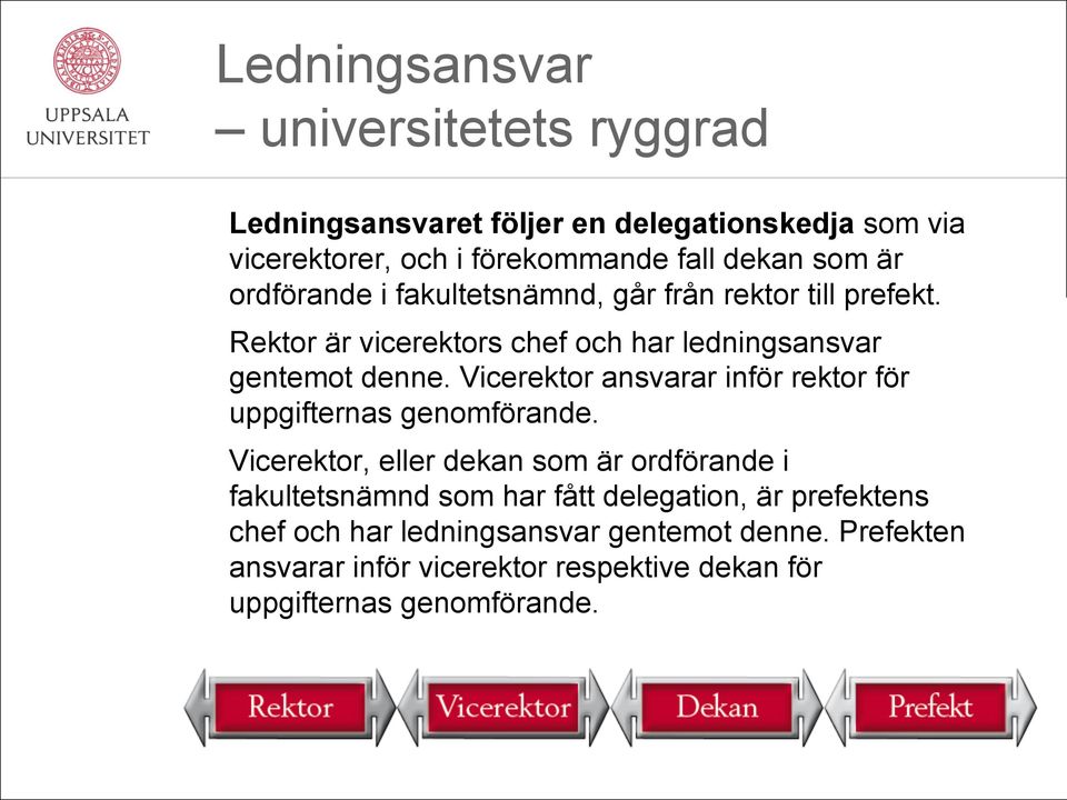 Vicerektor ansvarar inför rektor för uppgifternas genomförande.