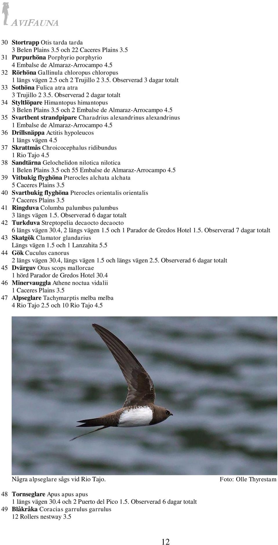 5 och 2 Embalse de Almaraz-Arrocampo 4.5 35 Svartbent strandpipare Charadrius alexandrinus alexandrinus 1 Embalse de Almaraz-Arrocampo 4.5 36 Drillsnäppa Actitis hypoleucos 1 längs vägen 4.