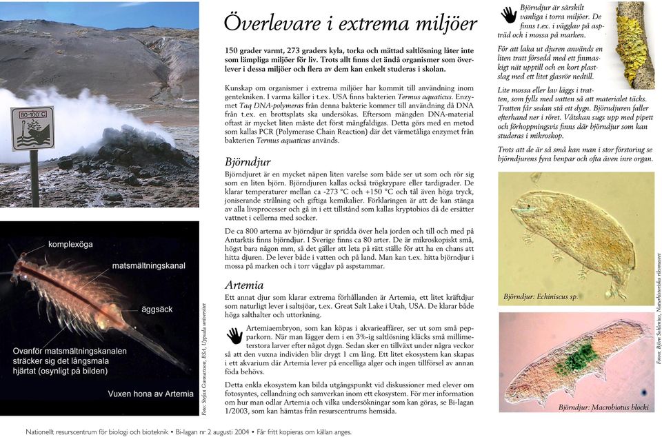 Kunskap om organismer i extrema miljöer har kommit till användning inom gentekniken. I varma källor i t.ex. USA finns bakterien Termus aquaticus.