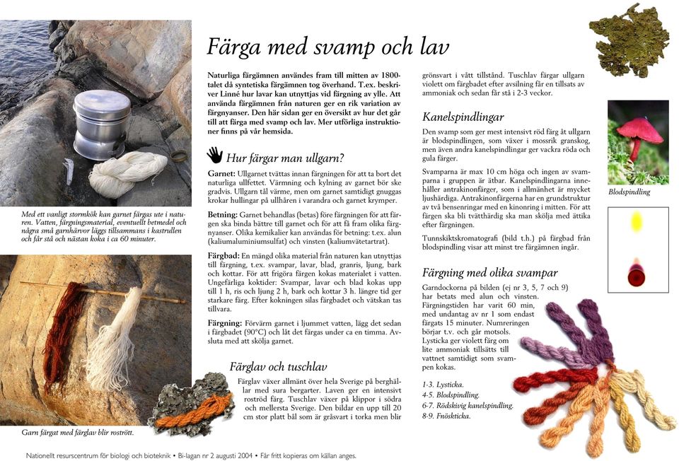 Naturliga färgämnen användes fram till mitten av 1800- talet då syntetiska färgämnen tog överhand. T.ex. beskriver Linné hur lavar kan utnyttjas vid färgning av ylle.