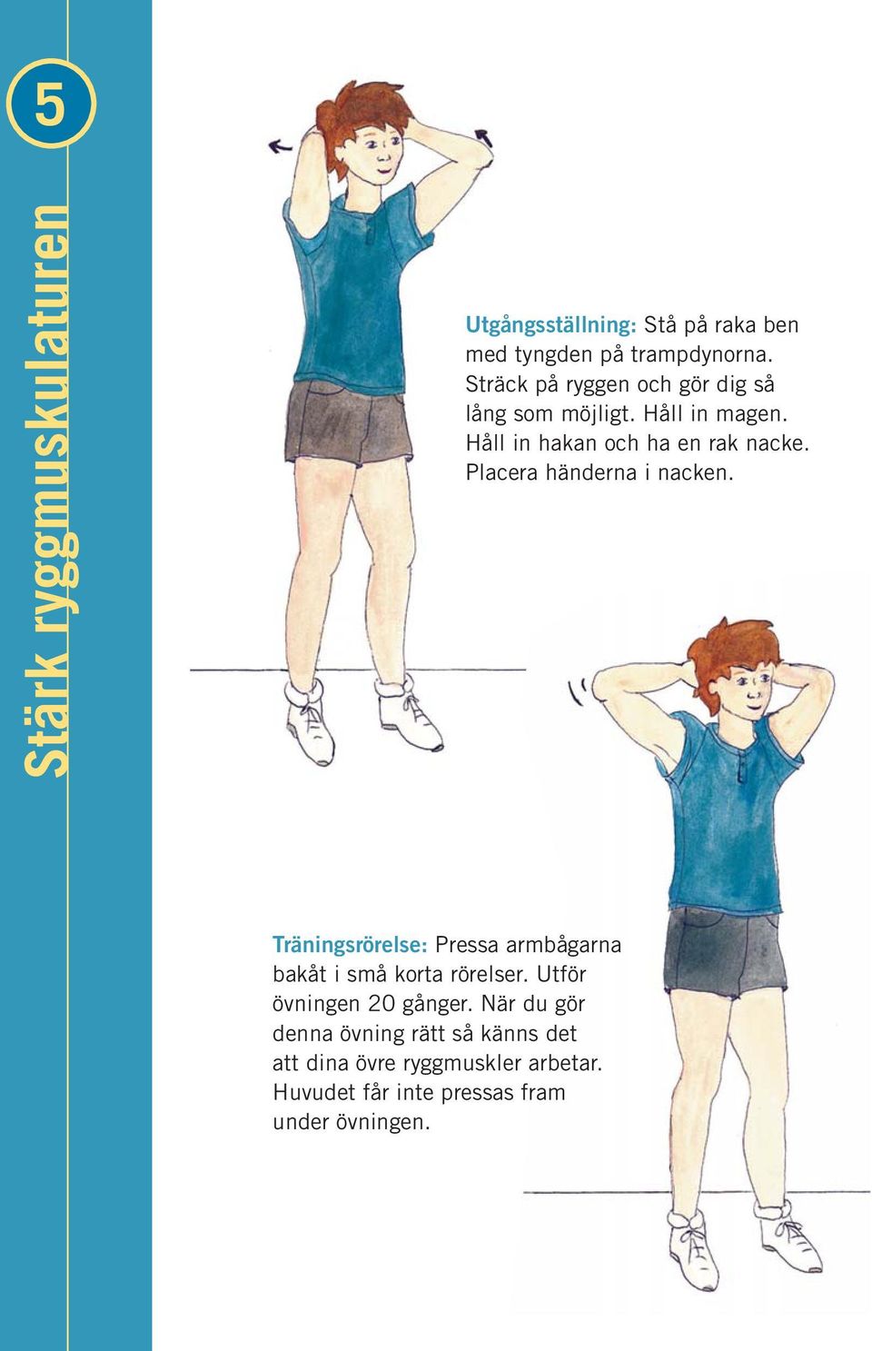 Placera händerna i nacken. Träningsrörelse: Pressa armbågarna bakåt i små korta rörelser.