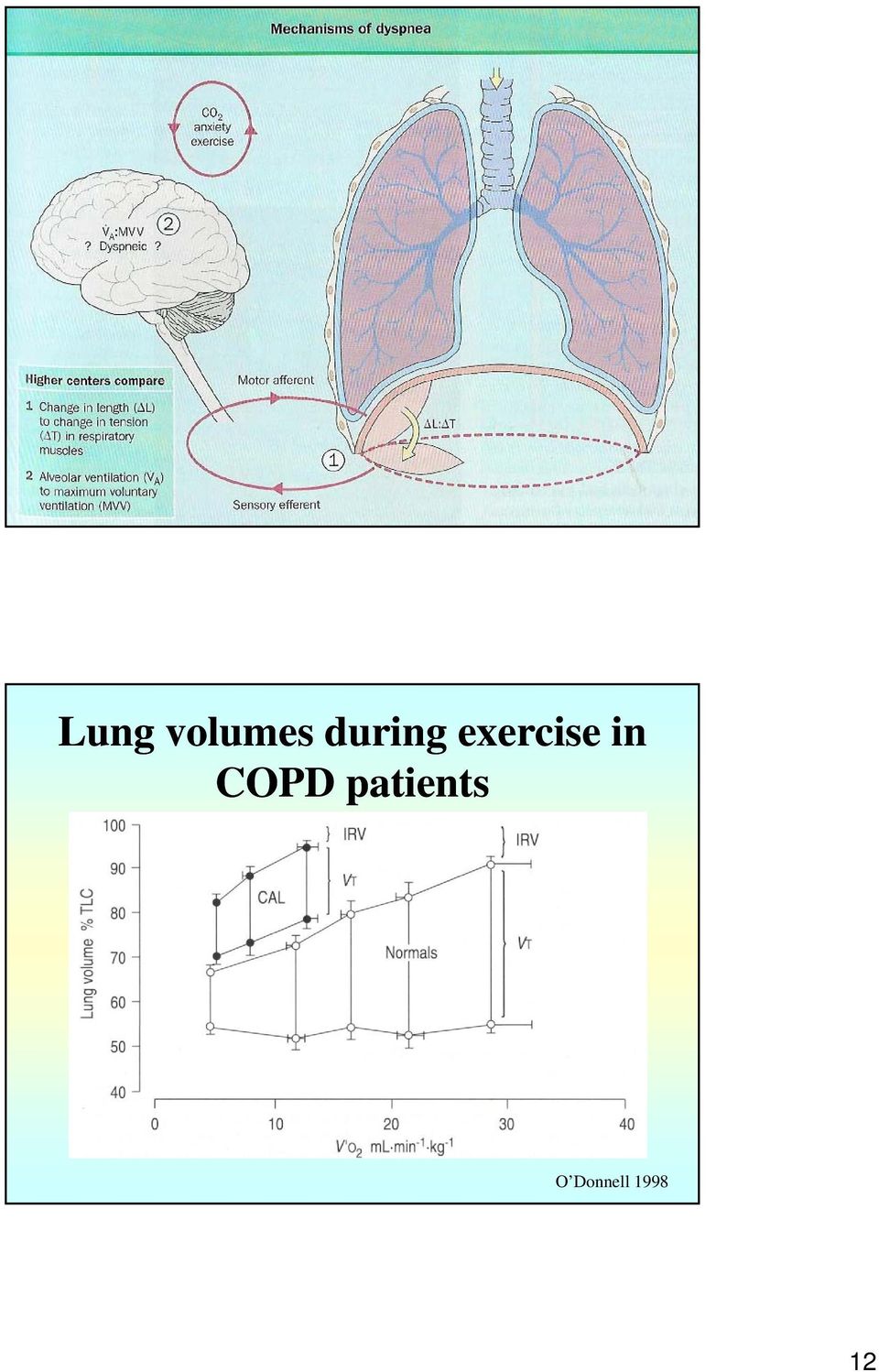 in COPD