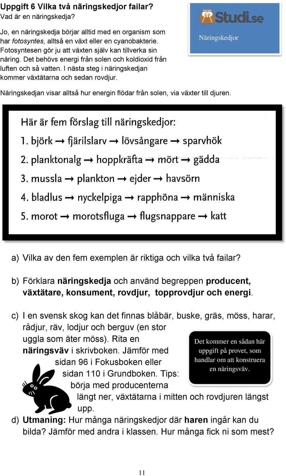 Näringskedjor Näringskedjan visar alltså hur energin flödar från solen, via växter till djuren. a) Vilka av den fem exemplen är riktiga och vilka två failar?