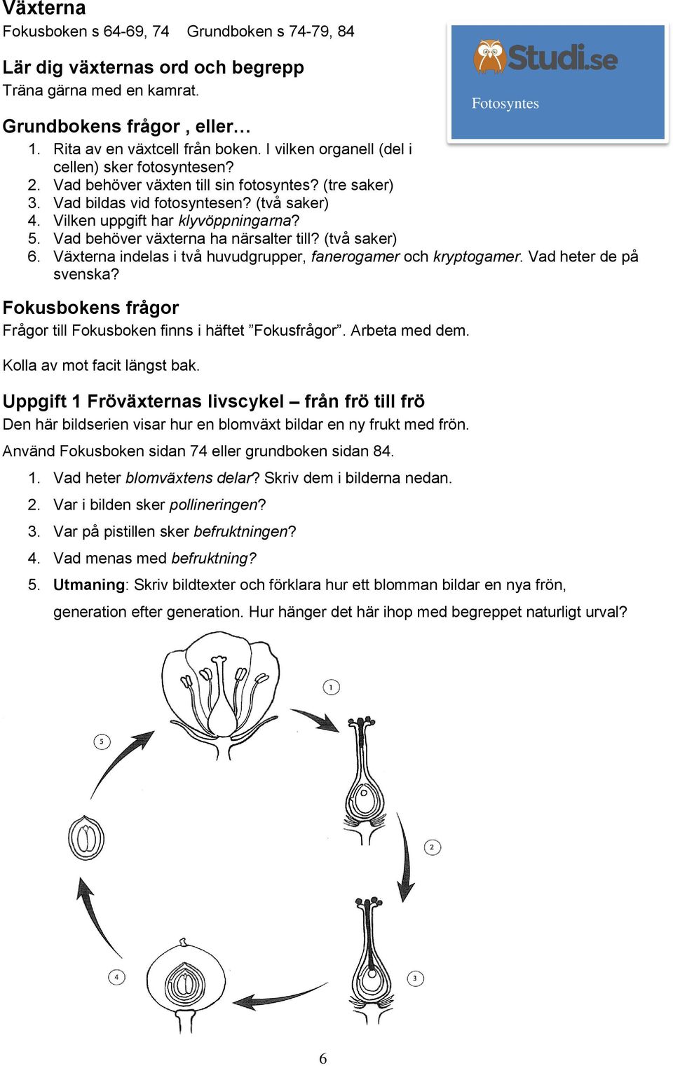 Vad behöver växterna ha närsalter till? (två saker) 6. Växterna indelas i två huvudgrupper, fanerogamer och kryptogamer. Vad heter de på svenska?