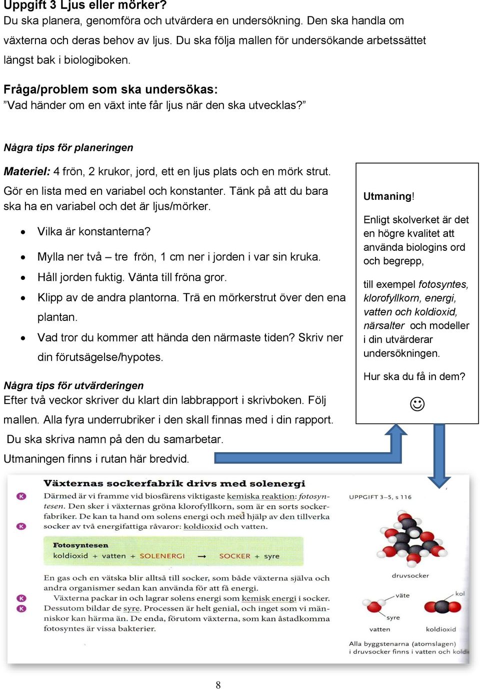 Några tips för planeringen Materiel: 4 frön, 2 krukor, jord, ett en ljus plats och en mörk strut. Gör en lista med en variabel och konstanter.