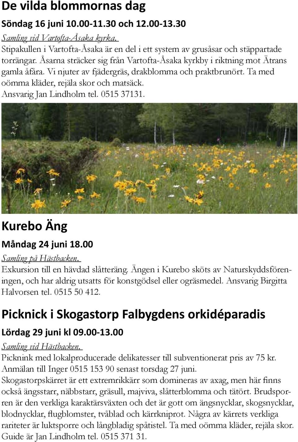 Ansvarig Jan Lindholm tel. 0515 37131. Kurebo Äng Måndag 24 juni 18.00 Samling på Hästbacken. Exkursion till en hävdad slåtteräng.