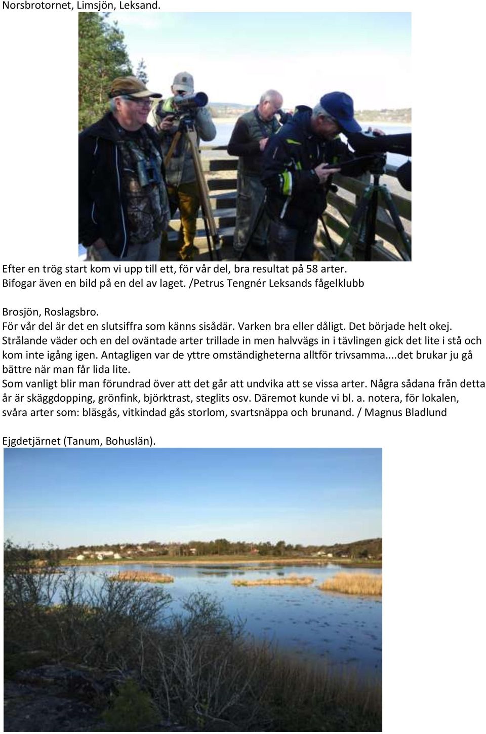 Strålande väder och en del oväntade arter trillade in men halvvägs in i tävlingen gick det lite i stå och kom inte igång igen. Antagligen var de yttre omständigheterna alltför trivsamma.